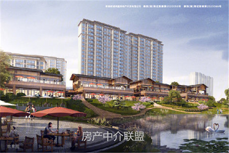 二实小实验中学附近中装两室两厅送车库证满五年